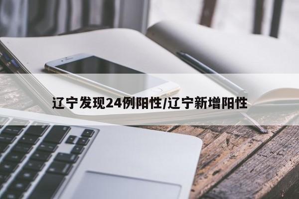 辽宁发现24例阳性/辽宁新增阳性